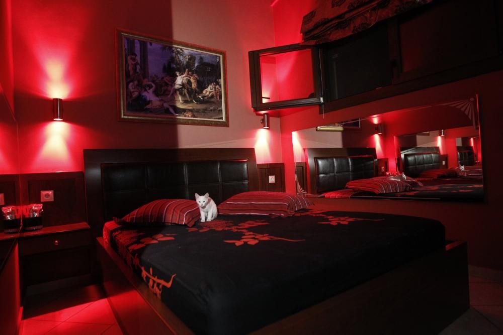 Brothel room interior red light design with a cat